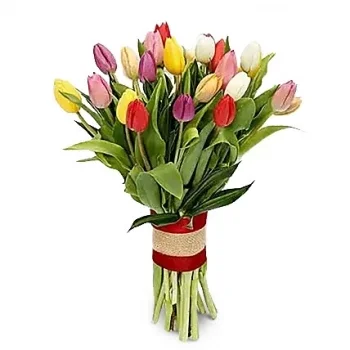 サウジアラビア 花- 見事なチューリップ 花束/フラワーアレンジメント