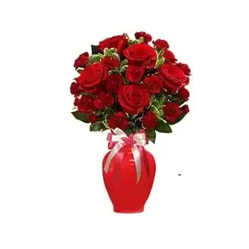 Al-Malikiyah - Karzakkan flowers  -  Red Roses & carnitions  Flower Delivery
