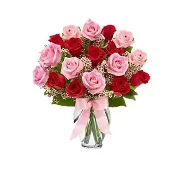 达曼 花- 粉红和红玫瑰 花 交付