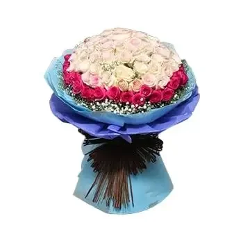 Juranah פרחים- 50 ורדים ורודים ואפרסקים פרח משלוח
