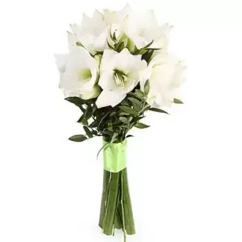 Prag cvijeća- Bijeli buket Amaryllis 