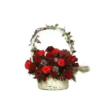 Hamra flowers  -  Christmas Garden Flower Delivery