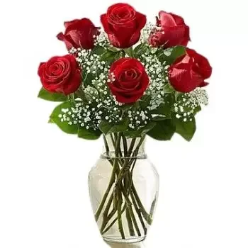 Manṭeqah Wizarat Blumen Florist- 6 rote Rosen Blumen Lieferung