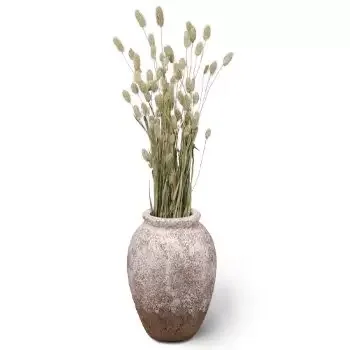 산트 펠리 우 데 로브 레 가트 꽃- 완벽한 폼푸스 꽃 배달