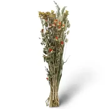 산 비 첸스 델 호르트 꽃- 어울리는 꽃 배달