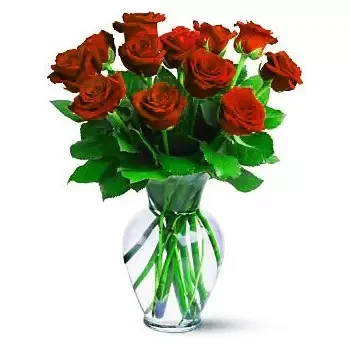 סיטרה פרחים- שקיעה אדומה פרח משלוח