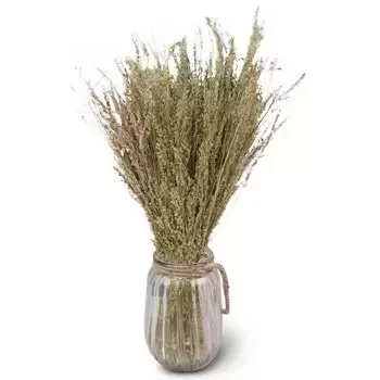 Vilaseca flowers  -  Naturally Dried Flower Delivery