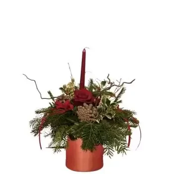 פריזרן פרחים- צמח חג המולד פרח משלוח