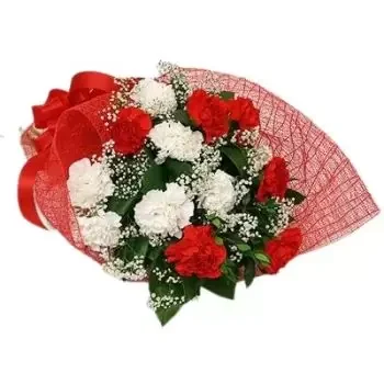 דהראן פרחים- חג מולד שמח פרח משלוח