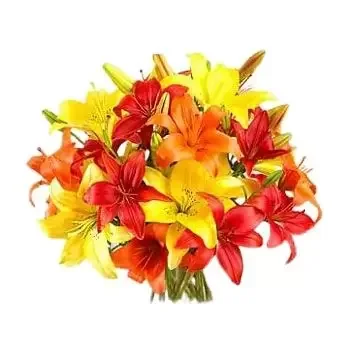 بائع زهور العيون- Llillies الآسيوية الملونة زهرة التسليم