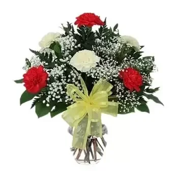 Kuwait flowers  -  Mixed Color Carnations Flower Delivery