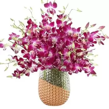 היג'רט אוקלאט אṣ-Ṣuqur פרחים- סחלבים סגולים פרח משלוח