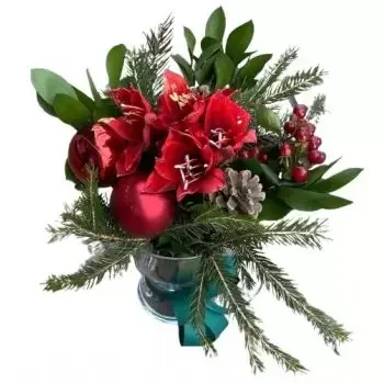 fiorista fiori di Sofia- Natale Rosso Fiore Consegna