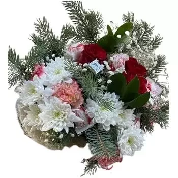 fleuriste fleurs de Sofia- Fleurs de Noël pittoresques Fleur Livraison