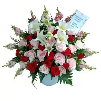 fleuriste fleurs de Sumatra- Noël Jinggle Hop Fleur Livraison
