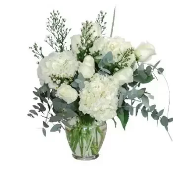קוראסאו פרחים- חֶמלָה פרח משלוח