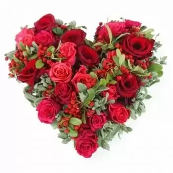 Alignan-du-Vent kvety- Srdce červených a fuchsiových ruží Tirana Kvet Doručenie