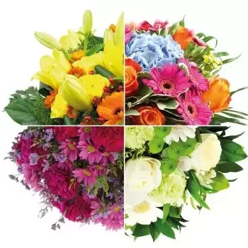 Attinghausen cvijeća- Dopustite da se iznenadite Cvijet Isporuke