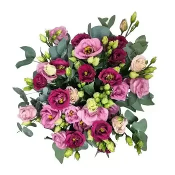 Biberstein cvijeća- Divljina Cvijet Isporuke