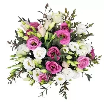 Bissone cvijeća- Klasična ljepota Cvijet Isporuke