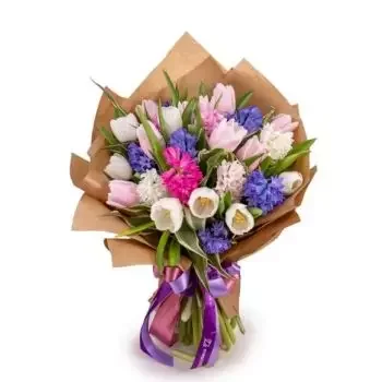 بائع زهور الكسندرو فلاهوتا- مهرجان الربيع زهرة التسليم