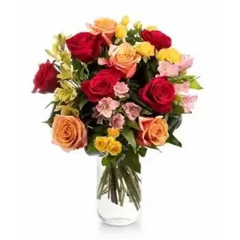 Арменис цветы- Аплодисменты Цветок Доставка