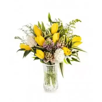 Αρδεοάνη λουλούδια- Sunny Glow Λουλούδι Παράδοση