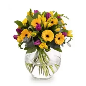 بائع زهور بيستريتا- رقة زهرة التسليم