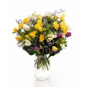 بائع زهور بيرزونتي- فرحة الربيع زهرة التسليم