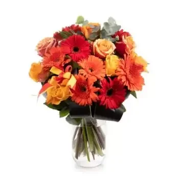 flores de Bucareste- Brilhante Flor Entrega