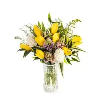 بائع زهور أرمن- الربيع الخجول زهرة التسليم