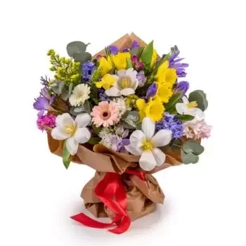 Almasu λουλούδια- Ζωηρός Λουλούδι Παράδοση