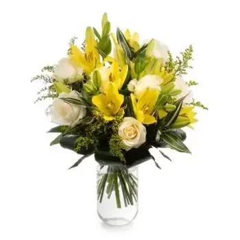 بائع زهور بيرزوفيا- انبهار زهرة التسليم