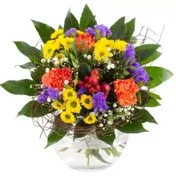 알페르스테트 꽃- 꽃 냄비 꽃 배달