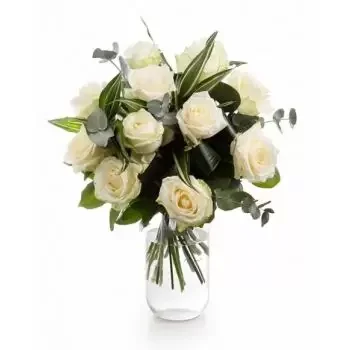 Beliu cvijeća- Elegancija Cvijet Isporuke