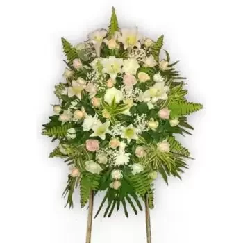 Σουραμπάγια σε απευθείας σύνδεση ανθοκόμο - Στεφάνι μεικτά λουλούδια Μπουκέτο