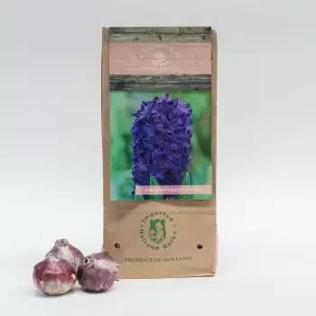 Джеда онлайн магазин за цветя - Питър Стайвесант Букет