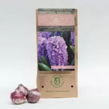 Riyadh flowers  -  Purple Voice Flower Bouquet/Arrangement