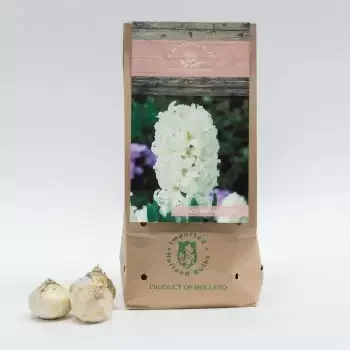 Riyadh blomster- Fairy White Blomst buket/Arrangement