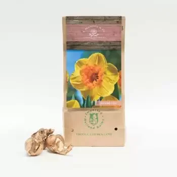 Dammam blomster- Vega Blomst buket/Arrangement