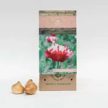 Dammam bloemen bloemist- Estella Rijnveld Boeket/bloemstuk