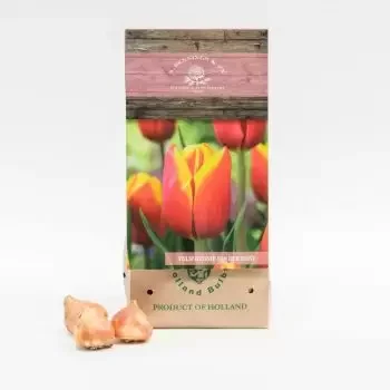 Джеда онлайн магазин за цветя - Хени ван дер Мост Букет