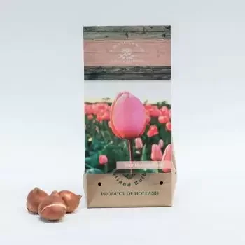 Dżudda Kwiaciarnia online - Różowy wrażenie Bukiet