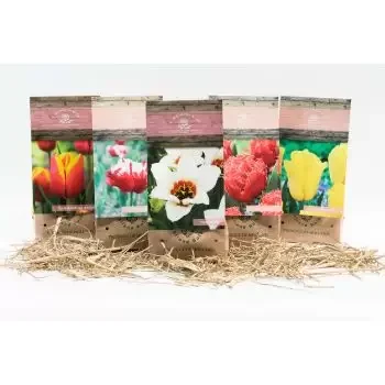 Димов онлайн магазин за цветя - Средна кутия за лалета Букет