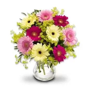 Bomlo bunga- Germinis berwarna-warni Bunga Penghantaran