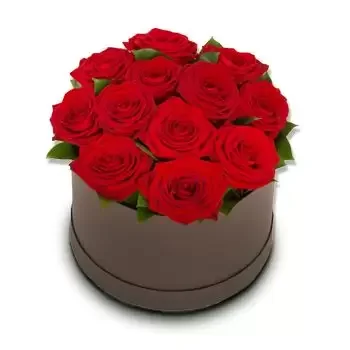 Bagn květiny- Jednoduše Červená Květ Dodávka