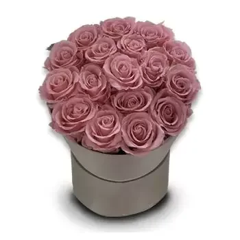 Foldroy bunga- Cantik dalam warna merah jambu Bunga Penghantaran