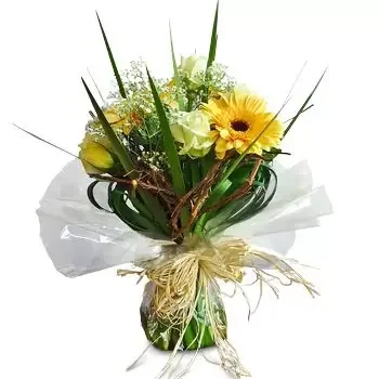 Agalega cvijeća- Sunčani tonovi Cvijet Isporuke