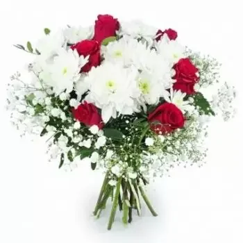 بائع زهور جمع شمل- باقة قرطاجنة البيضاء والفوشية المستديرة زهرة التسليم
