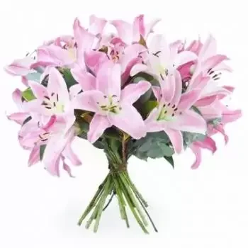 جمع شمل الزهور على الإنترنت - باقة زنبق بروكسل الوردي باقة